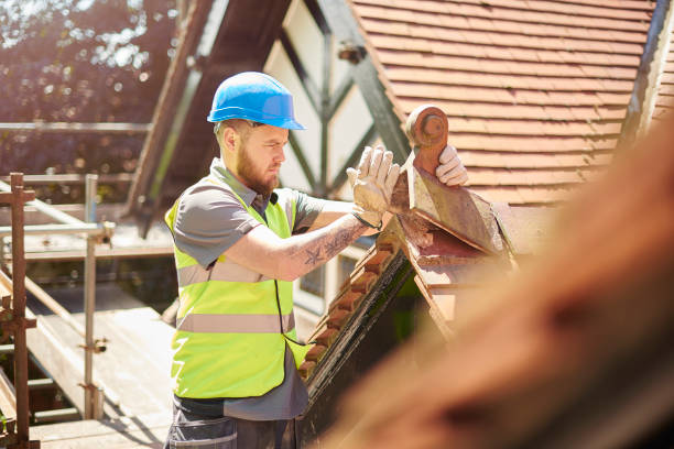 Best Roof Leak Repair  in Follansbee, WV